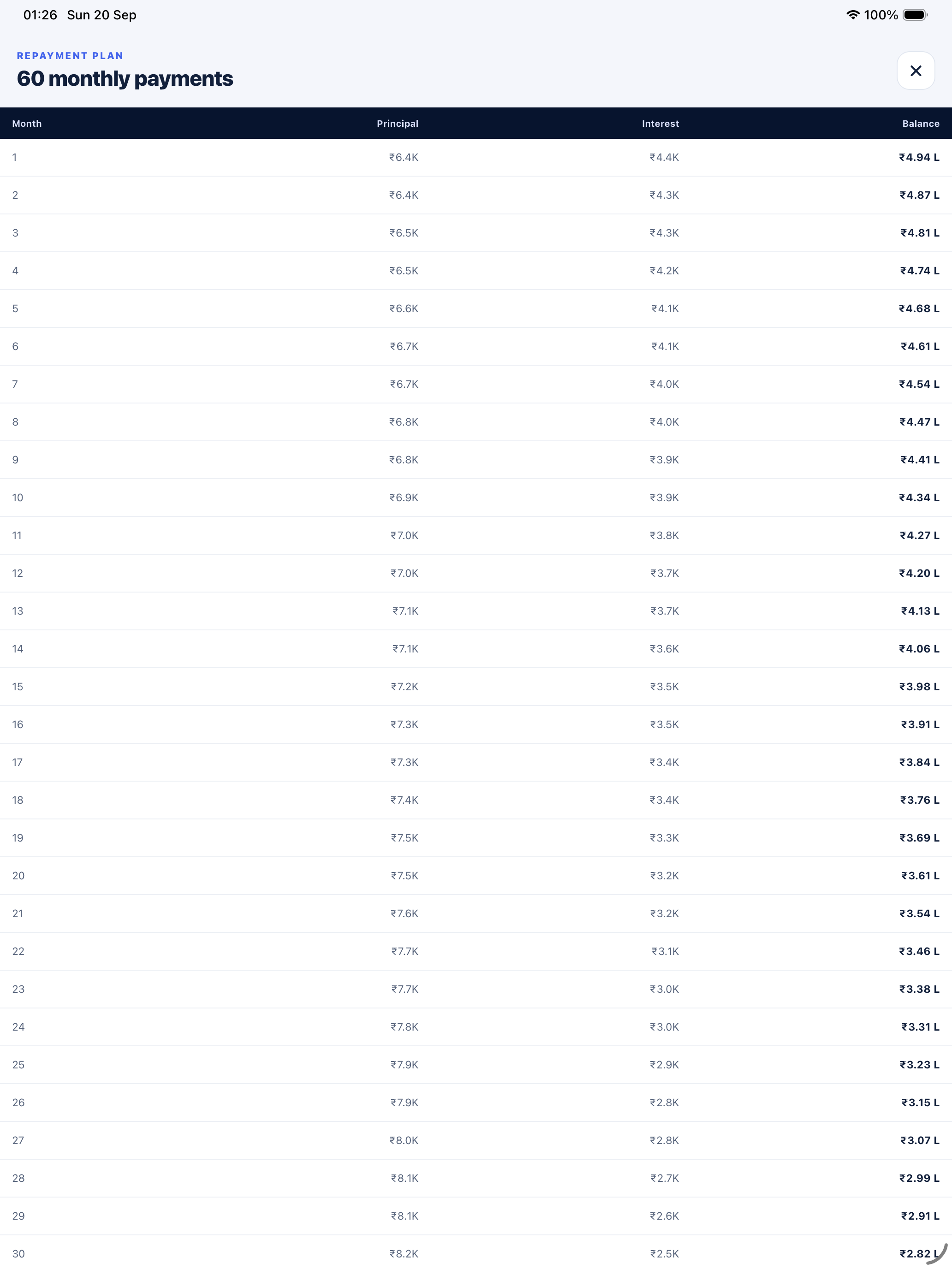 Repayment schedule on iPad